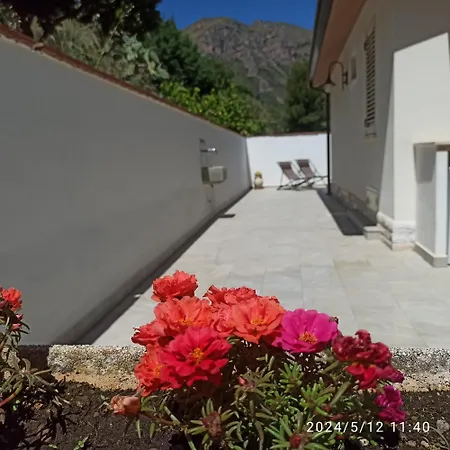 Guest house Affittacamere Mediterraneo Castellammare del Golfo